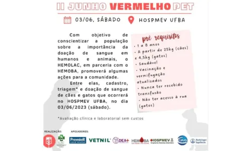 
				
					UFBa faz campanha de doação de sangue para animais; confira
				
				