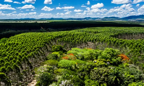 
				
					Veracel abre inscrições para vaga de mecânico em Eunápolis
				
				