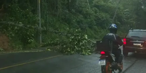 
				
					Ilhéus registra alagamentos devido a chuva forte
				
				