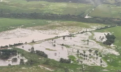 
				
					Prefeitura de Porto Seguro decreta estado de emergência após temporal
				
				