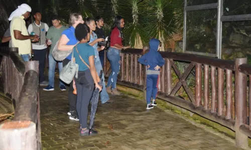 
				
					Projeto Zoo Noturno volta a acontecer no Zoológico de Salvador
				
				