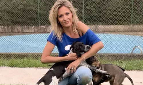 
				
					Luisa Mell se pronuncia após polêmica com instituto: 'Doei minha saúde'
				
				