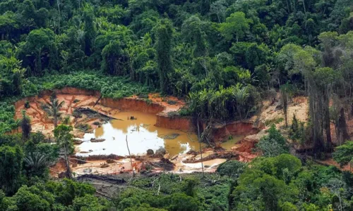 
				
					Mulher é encontrada morta em Terra Indígena Yanomami
				
				