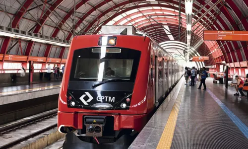 
				
					Achados arqueológicos devem gerar revisão de licença do metrô de SP
				
				