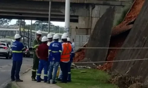 
				
					Geomanta de encosta cede e tráfego é parcialmente suspenso na Paralela
				
				