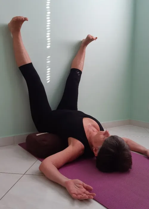 
				
					Yoga para imunidade baixa
				
				