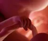 17 semanas de gravidez: o desenvolvimento do bebê