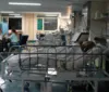 Idec mostra que reajustes de planos de saúde coletivos quase dobraram