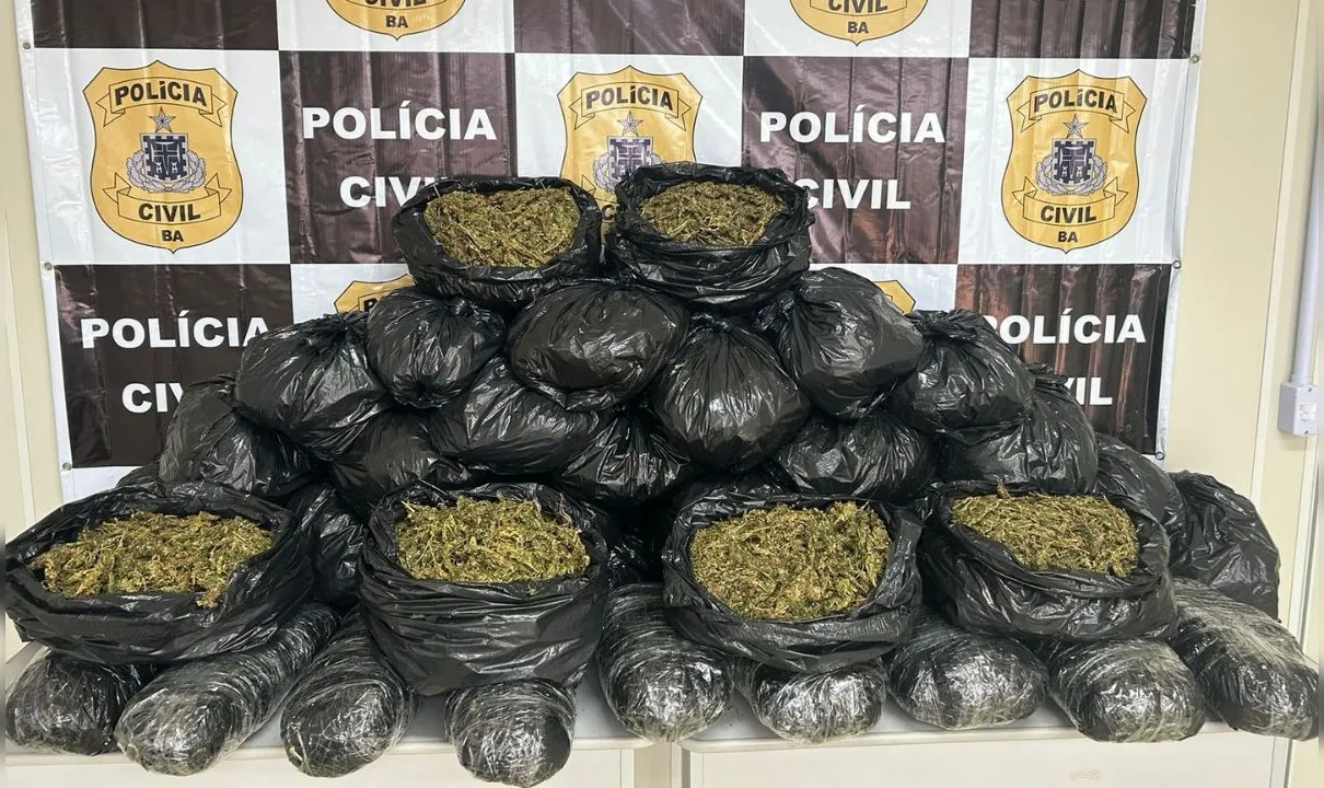 Policias encontram 40 quilos de maconha foram encontrados em uma casa do bairro de São Gonçalo do Retiro