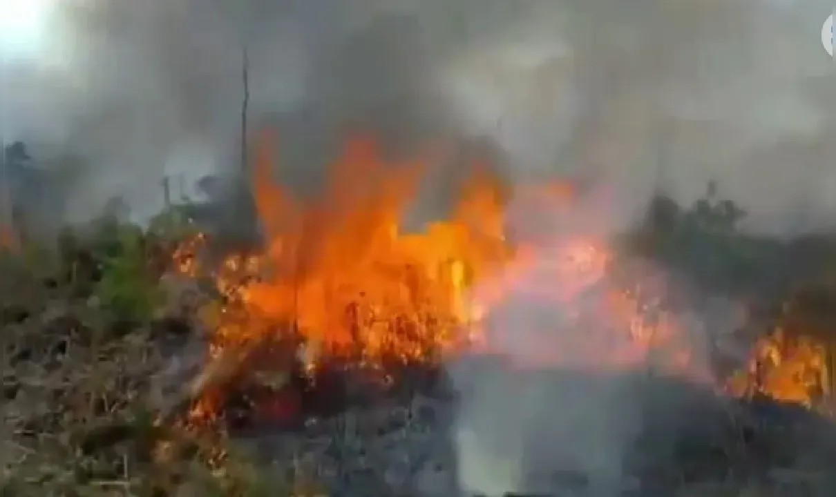 Incêndio no Parque Monte Pascoal começou na Aldeia Boca da Mata