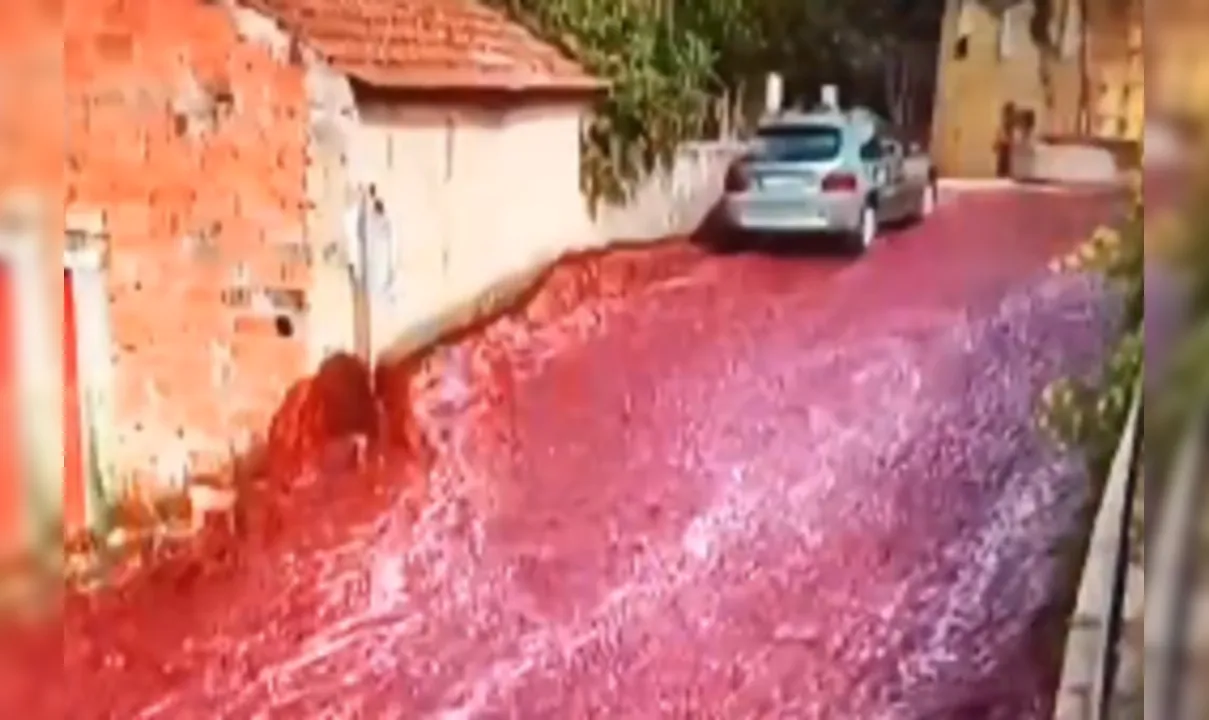 Cidade em Portugal sofre inundação de vinho