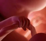 17 semanas de gravidez: o desenvolvimento do bebê