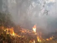 Incêndio atinge área de vegetação de terra indígena na Bahia há 3 dias