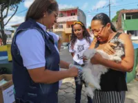 Vacinação Antirrábica será realizada em Lauro de Freitas neste sábado (2)