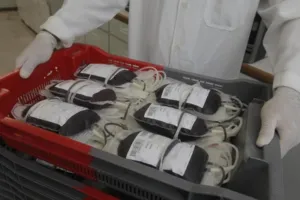 Hemoba tem baixo estoque de alguns tipos sanguíneos; saiba como doar