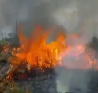 Fogo destrói 500 hectares do Parque Nacional do Monte Pascoal