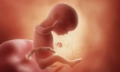 
				
					16 semanas de gravidez: entenda como o bebê se desenvolve
				
				