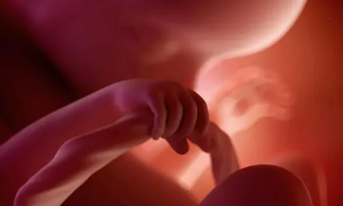 
				
					17 semanas de gravidez: o desenvolvimento do bebê
				
				