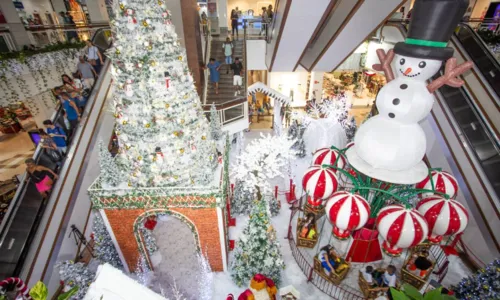 
				
					Árvore de 14 metros é destaque no 'Natal na Neve' no Shopping Piedade
				
				