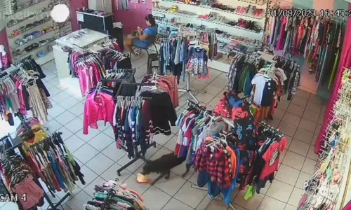
				
					Cadela 'furta' chapéu de dentro de loja de roupas; veja vídeo
				
				