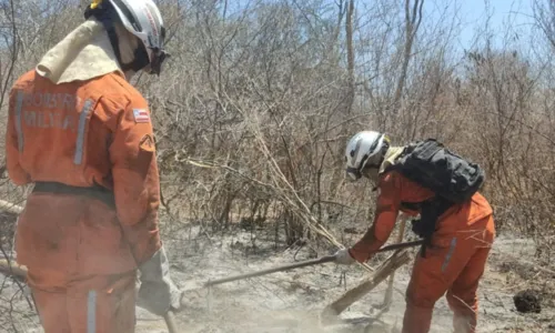 
				
					Cerca de 200 bombeiros combatem a incêndios florestais pela Bahia
				
				