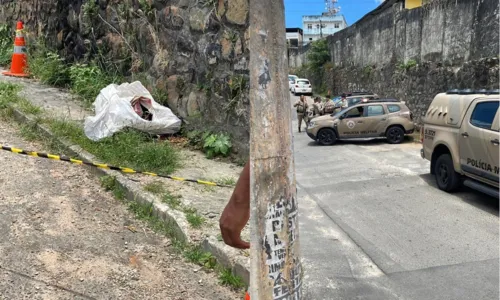 
				
					Corpo é encontrado dentro de saco plástico em bairro de Salvador
				
				