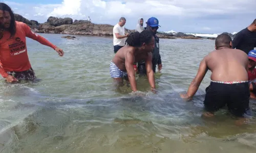 
				
					Filhote de baleia encalha em praia de Itapuã, em Salvador
				
				