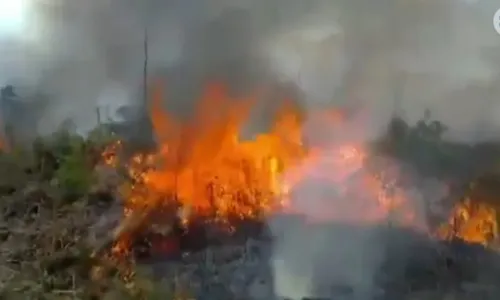 
				
					Fogo destrói 500 hectares do Parque Nacional do Monte Pascoal
				
				