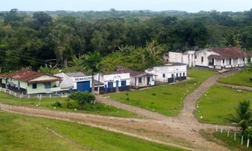
				
					Globo grava remake de 'Renascer' em fazenda da trama original, na Bahia
				
				