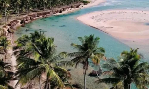 
				
					Homem desaparece após se afogar em praia turística no baixo sul da BA
				
				