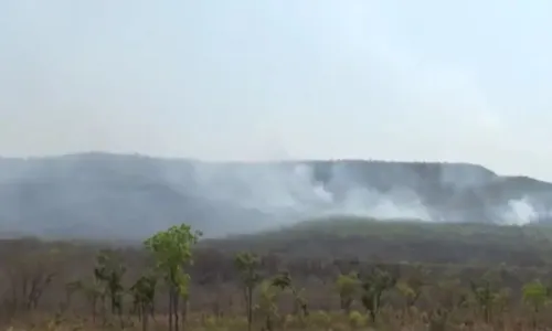 
				
					Incêndio atinge Serra da Bandeira e outras seis cidades do oeste da BA
				
				