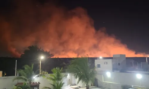 
				
					Incêndio atinge área de vegetação atrás do aeroporto de Salvador
				
				