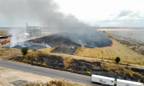 
				
					Incêndio atinge fazenda e destrói área do tamanho de 15 campos
				
				