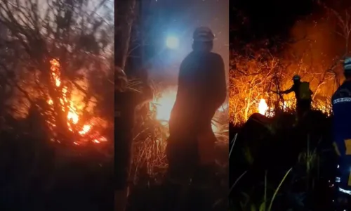 
				
					Incêndio em Riachão do Jacuípe é controlado após 10 horas
				
				