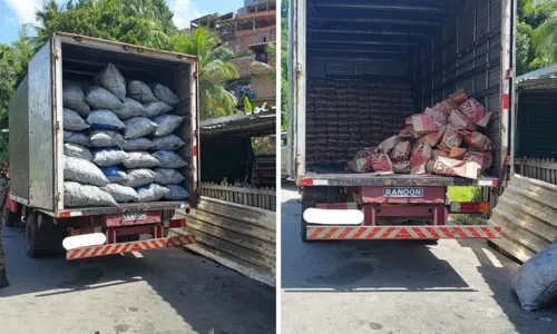 
				
					Mais de 1.500 sacos de de carvão ilegal são apreendidos em Salvador
				
				