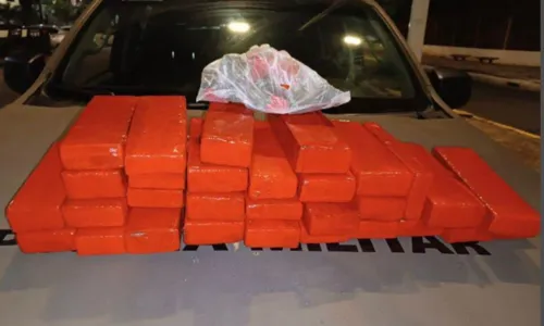 
Operação intercepta envio de 30kg de maconha para sul da BA
