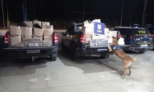 
				
					Polícia apreende quase uma tonelada de drogas em caminhão na Bahia
				
				