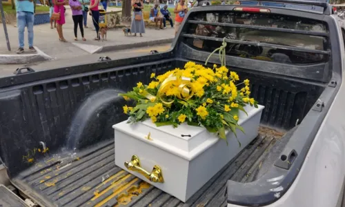
				
					População organiza cortejo fúnebre para homenagear cachorro na Bahia
				
				