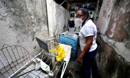 
				
					Prefeitura de Salvador realiza ação de mobilização contra o Aedes Aegypti
				
				
