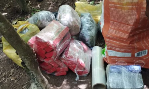 
				
					Quase 100kg de drogas são achadas enterradas em mata na Bahia
				
				