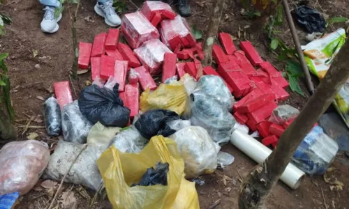 
				
					Quase 100kg de drogas são achadas enterradas em mata na Bahia
				
				
