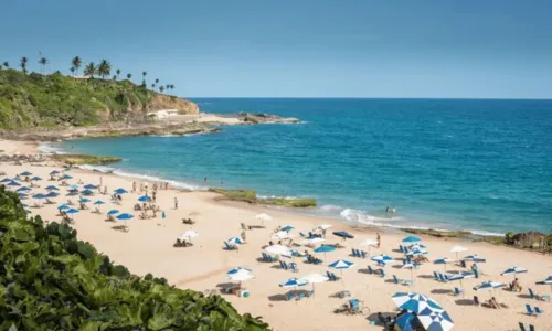 
				
					Salvador tem 11 praias impróprias para banho neste final de semana; confira
				
				