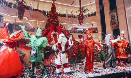 
				
					Shopping Bela Vista inaugura decoração de Natal
				
				