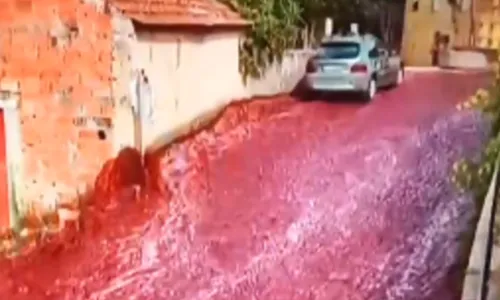 
				
					VÍDEO! Vinho inunda cidade após acidente em depósito
				
				