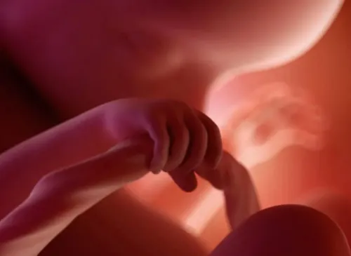 17 semanas de gravidez: o desenvolvimento do bebê