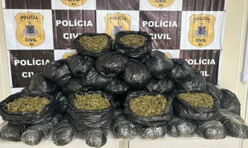 
				
					Ação após apreensão em hotel encontra outros 40 kg de maconha
				
				