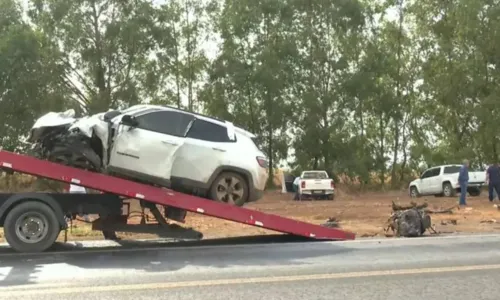 
				
					Acidente entre carro e caminhonete deixa 3 pessoas mortas na Bahia
				
				