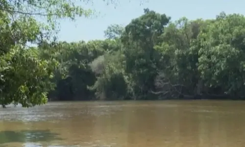 
				
					Adolescente fratura pescoço e morre após pular de ponte na Bahia
				
				