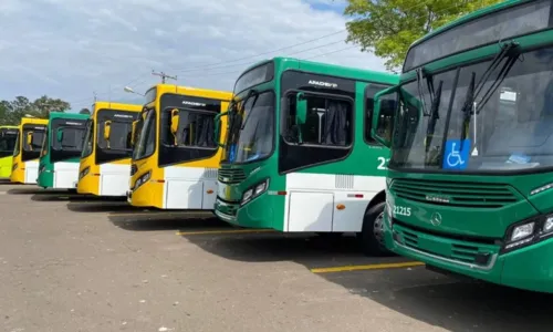 
				
					Após operação, ônibus seguem sem circular no bairro de Santa Cruz
				
				