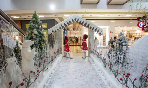 
				
					Árvore de 14 metros é destaque no 'Natal na Neve' no Shopping Piedade
				
				